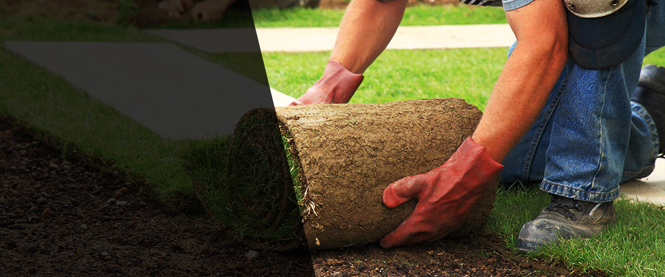 Warsaw Landscapers